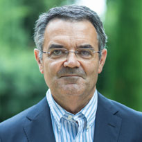 Miguel Ángel Ariño | IESE Business School