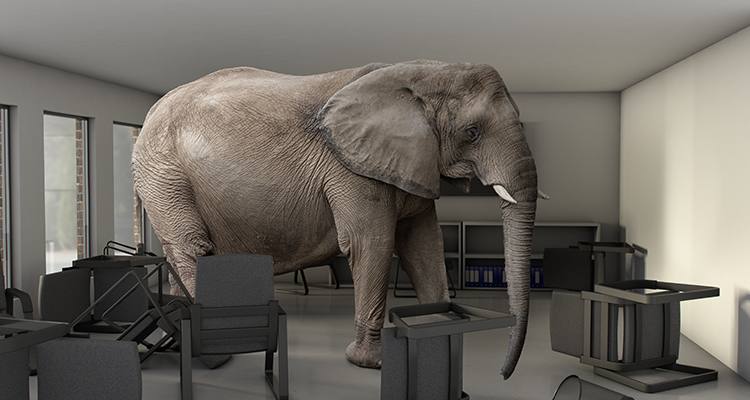 ¿Puede aprender a bailar un elefante? Cómo lograr multinacionales más ágiles