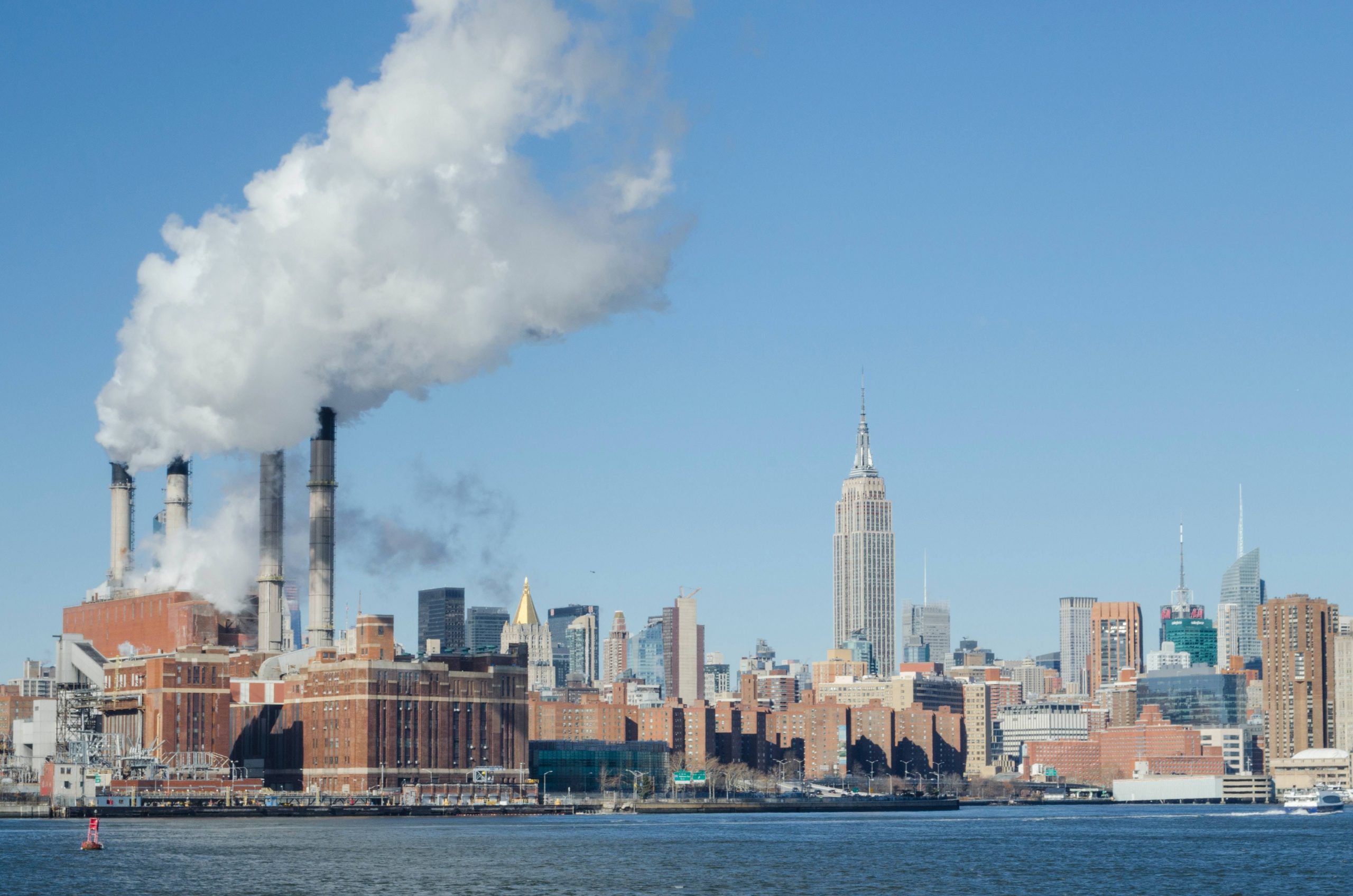 'Greenwashing': pan para hoy, hambre para mañana