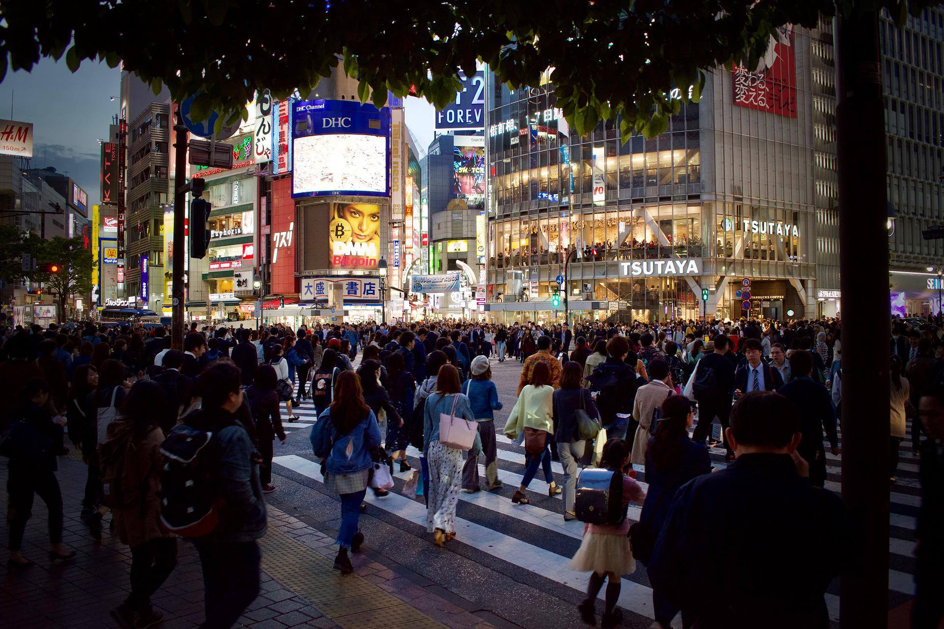 ¿Cuáles son las ciudades más 