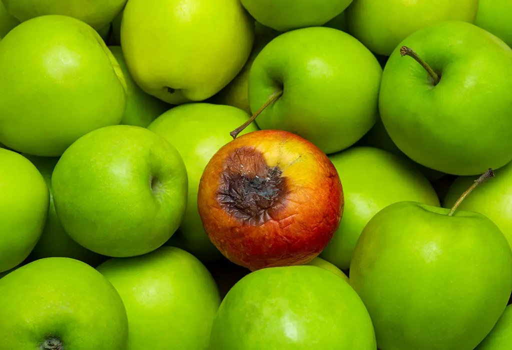 Una manzana podrida en un grupo de manzanas verdes