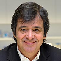 Luis Maroto