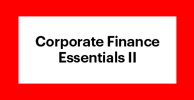 Corporate Finance Essentials II