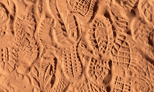 https://www.iese.edu/es/wp-content/uploads/sites/2/2026/09/footprints-sand.webp