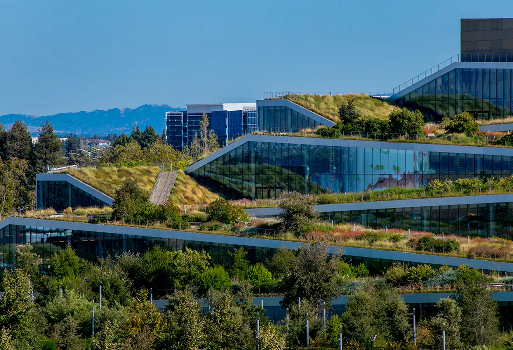 Office building surrounded by nature