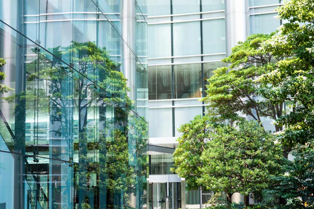 Can market sentiment alone drive greener financial practices in banks?