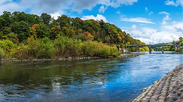 https://www.iese.edu/insight/wp-content/uploads/sites/3/2025/11/thames-river-ontario-nature.webp