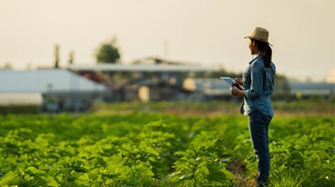 https://www.iese.edu/insight/wp-content/uploads/sites/3/2026/07/farmer-fields.webp