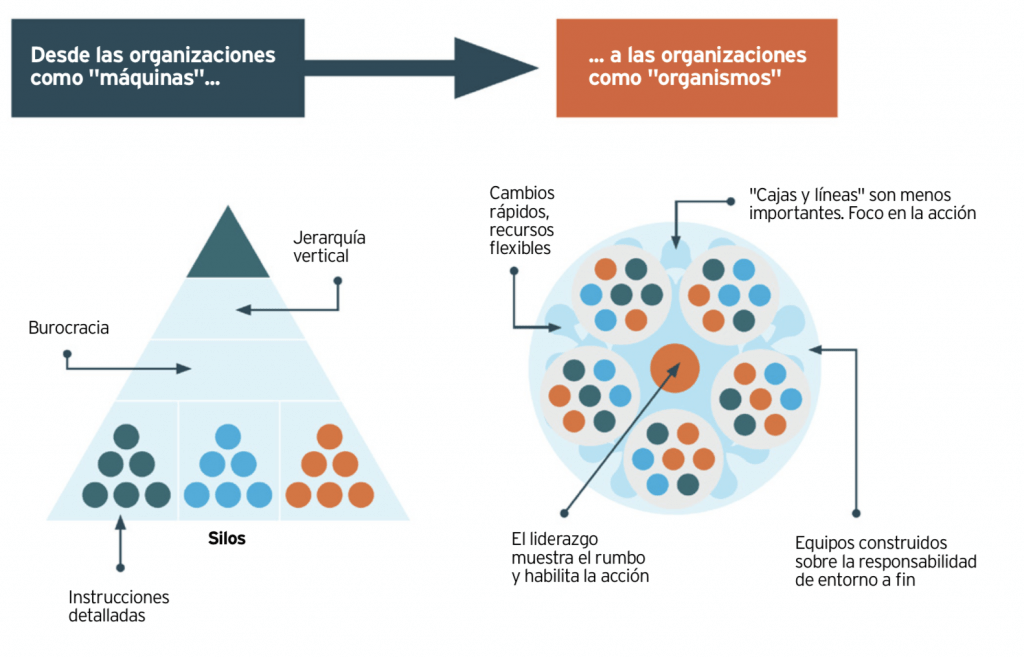 infografia agile organiaciones español