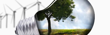 Fuel Freedom Chair for Energy and Social Development Fuel Freedom Chair for Energy and Social Development