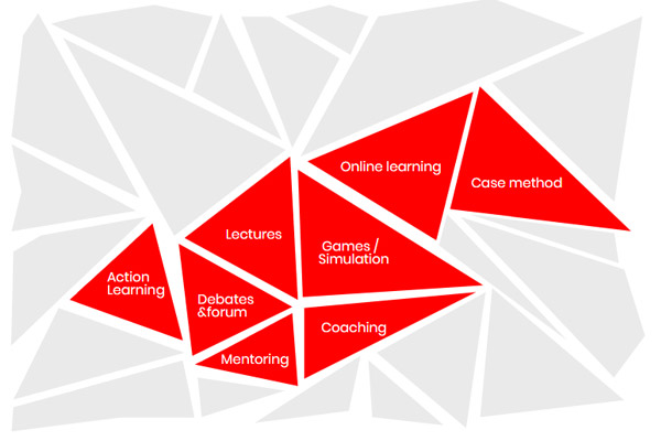 A mosaic of methodologies