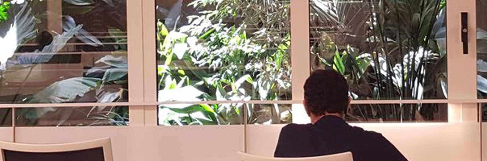 sub-header