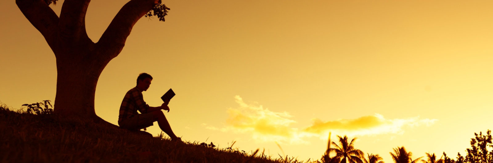 sub-header