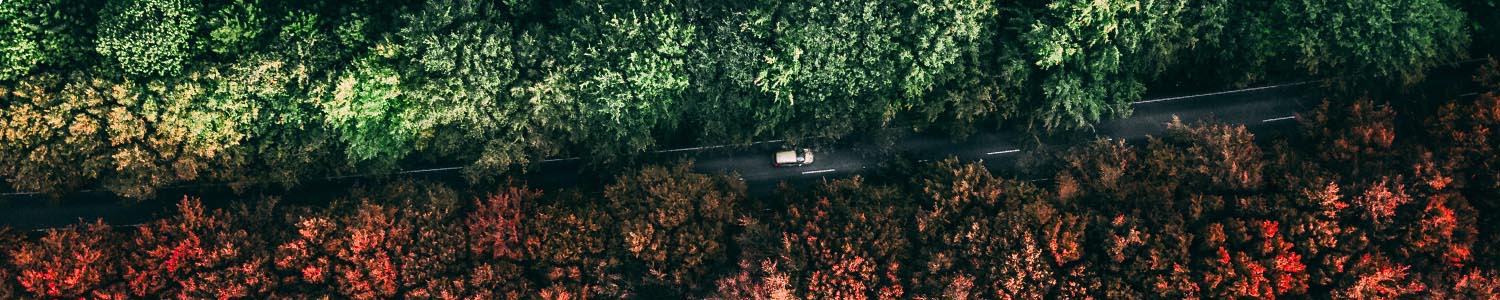 Sustainable Leadership Initiative | IESE Business School