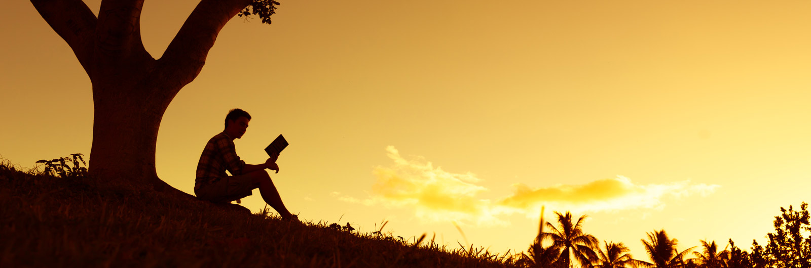 sub-header