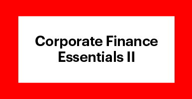 https://www.iese.edu/wp-content/uploads/2021/07/Corporate-Fin-II.png