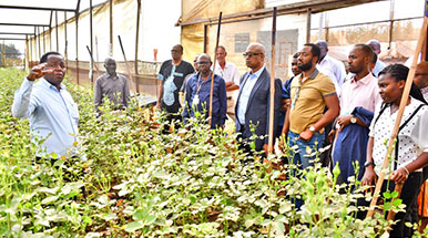 Africa Initiative