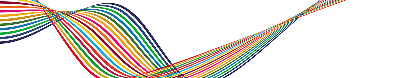 Sustainable Leadership Initiative
