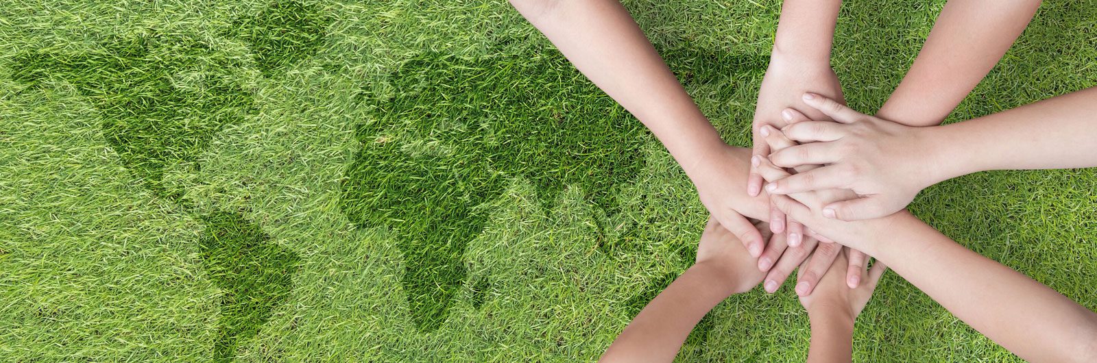 sub-header