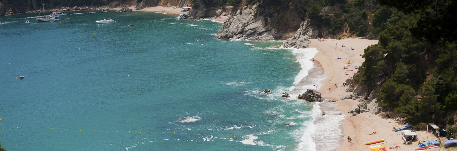 sub-header